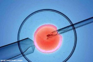 首席专家